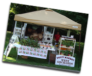 One of our market stands
